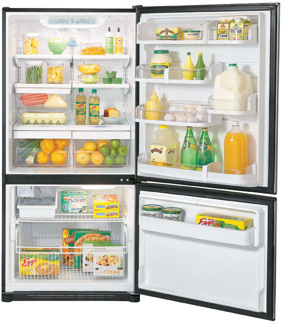 LG LBC22518ST Bottom Freezer Refrigerator