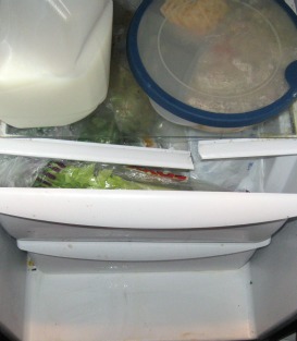 Frigidaire Side by Side Refrigerator Review - Broken Plastic Holding the Shelves