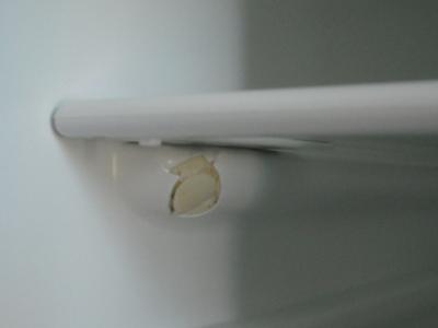 broken fridge shelf