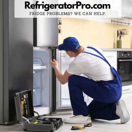 Refrigerator Repairman - RP - Fridge Problems? We can help.
