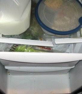 Frigidaire Side by Side Refrigerator Review - Broken Plastic Holding the Shelves