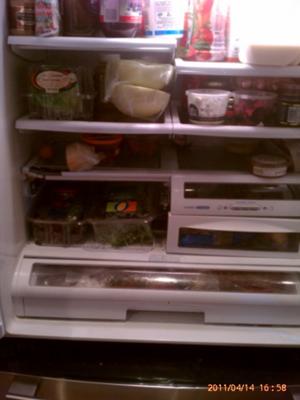 Here you can see the broken shelf and broken veggie bins in our LG refrigerator